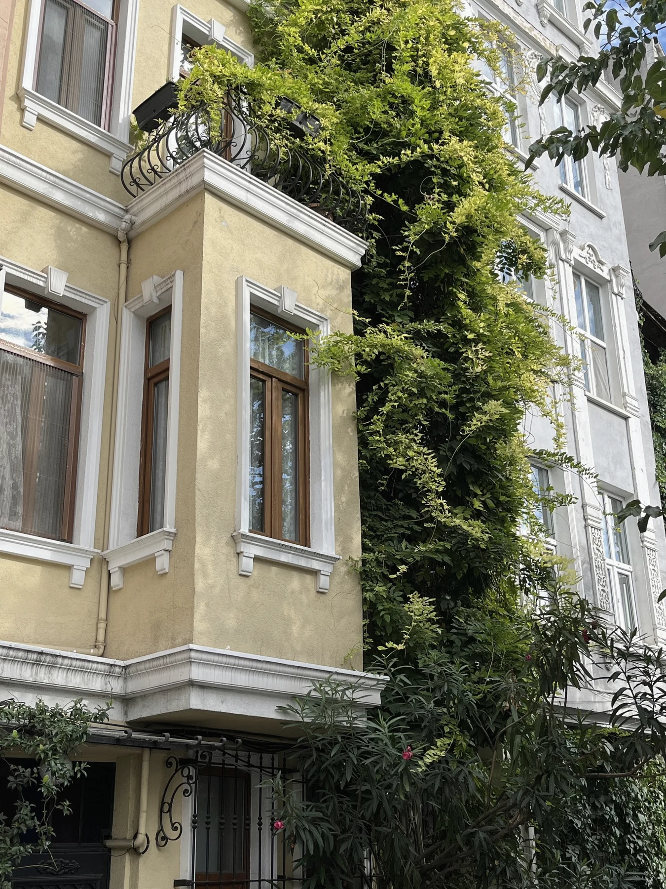 Architecture with climbing greenery and intricate window details